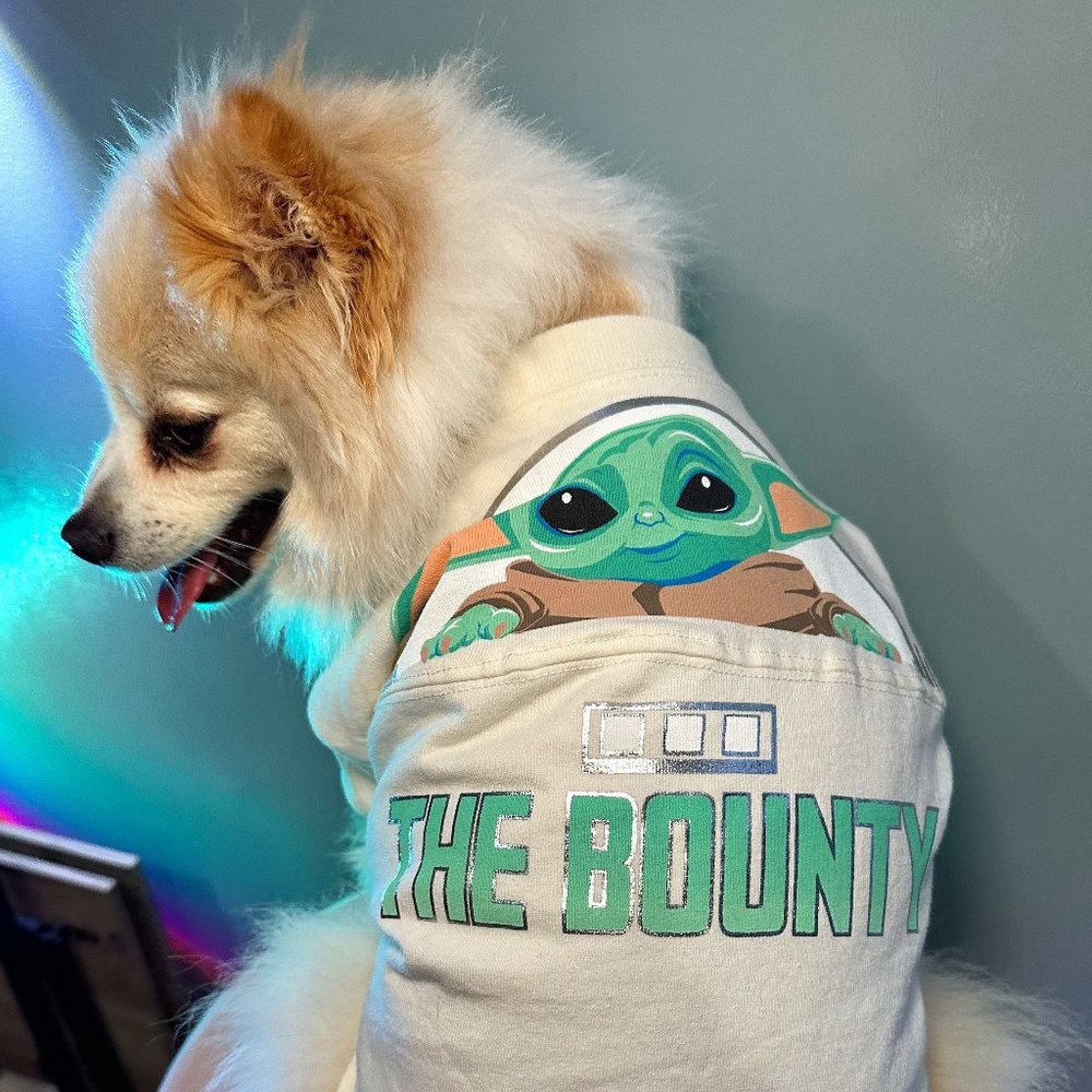 🔥🔥HOST PICK🔥🔥2 LEFT. NWT. RARE Disney Tails Star Wars Spirit Jersey for Dogs